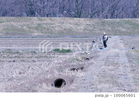 荒れた田んぼの表情をスケッチする人 100065601