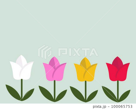 チューリップのアイコンセット 赤白黄色のチューリップ 春の花・植物 カラフル ベクターイラスト	 100065753