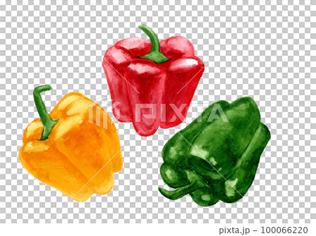 紅色、黃色和綠色辣椒粉的手繪水彩插圖 100066220