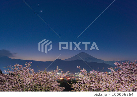 （神奈川県）河津桜咲くおおいゆめの里から見る、木星と金星のランデブーと富士山 100066264