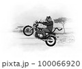 Tiger on a motorcycle, alternative animal life. 100066920
