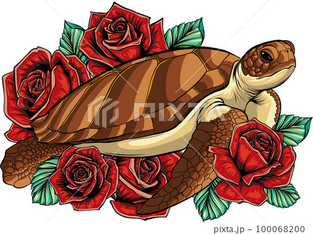 Vector Ilration Of Sea Turtle With