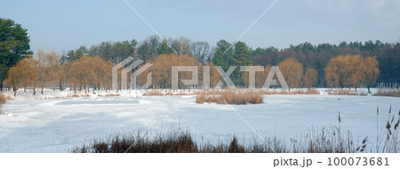 Frozen lake in winter on a sunny day and trees on the shore Frozen lake in winter on a sunny day and trees on the shore 100073681