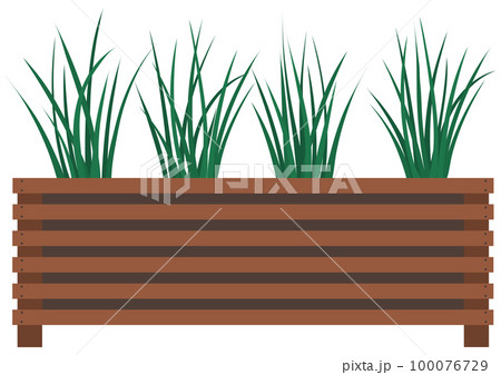Long, low flowerpot with small green herbaceous plants. Young grass, houseplant in wooden pot 100076729