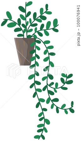 Decorative green plant with long leaves in ceramic pot, pot with houseplant. Home interior plant Decorative green plant with long leaves in ceramic pot, pot with houseplant. Home interior plant 100076941