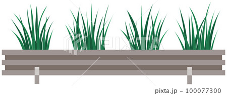 Long, low flowerpot with small green herbaceous plants. Young grass, houseplant in wooden pot Long, low flowerpot with small green herbaceous plants. Young grass, houseplant in wooden pot 100077300