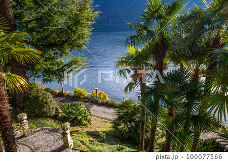 Amazing view on garden Helenium with small columns and garden path and water of lake Lugano Amazing view on garden Helenium with small columns and garden path and water of lake Lugano 100077566