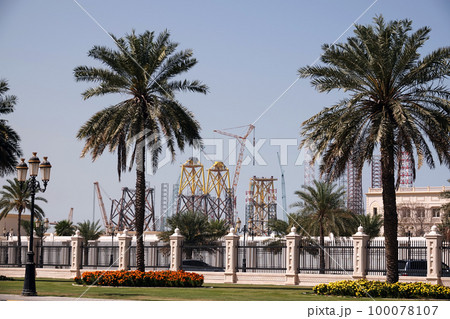 Sharjah, UAE February 21, 2020: landscaping the city with palm alleys along the roads Sharjah, UAE February 21, 2020: landscaping the city with palm alleys along the roads 100078107