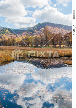 燃える秋 紅葉に色づく尾瀬 燃える秋 紅葉に色づく尾瀬 100081906