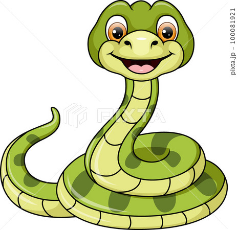 Cute green snake cartoon on white background 100081921