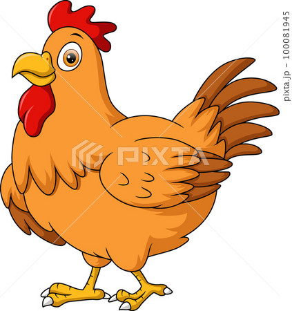 Cute chicken hen cartoon on white background 100081945