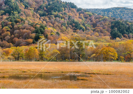 燃える秋　紅葉に色づく尾瀬 100082002