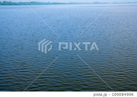 谷中湖 渡良瀬遊水地 中の島からの眺め 早朝の風景 谷中湖 渡良瀬遊水地 中の島からの眺め 早朝の風景 100084906