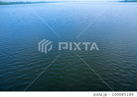 谷中湖　渡良瀬遊水地　中の島からの眺め　早朝の風景　　 100085189