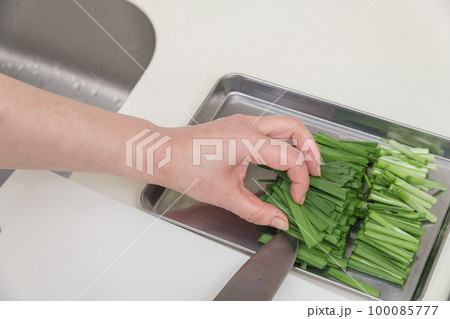 【ざく切りにしたニラをバットに移す】 100085777