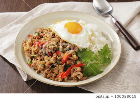 ガパオライス 100088019