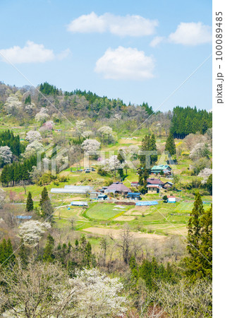 春の長閑な山村風景(長野県小川村) 春の長閑な山村風景(長野県小川村) 100089485