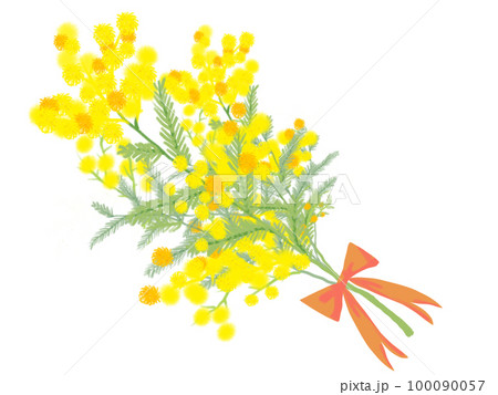 手描き風ミモザの花束アイコン 100090057