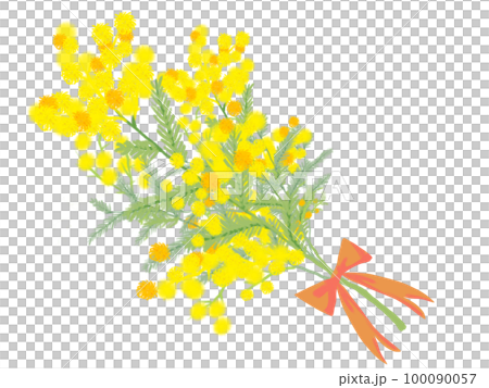 手描き風ミモザの花束アイコン 100090057