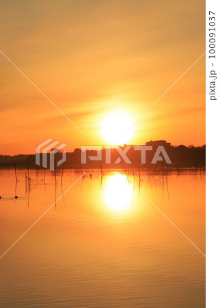 印旛沼の日の出の風景 印旛沼の日の出の風景 100091037