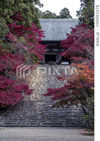 神護寺の紅葉 神護寺の紅葉 100091076