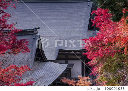神護寺の紅葉 神護寺の紅葉 100091083