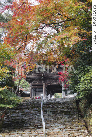 神護寺の紅葉 100091085