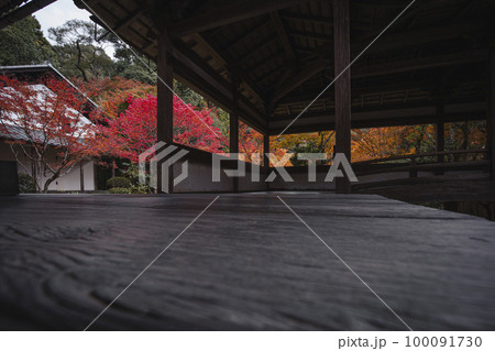 西明寺の紅葉 西明寺の紅葉 100091730