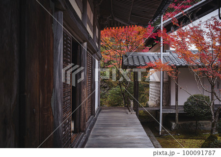 西明寺の紅葉 100091787