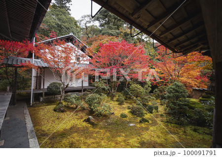 西明寺の紅葉 西明寺の紅葉 100091791