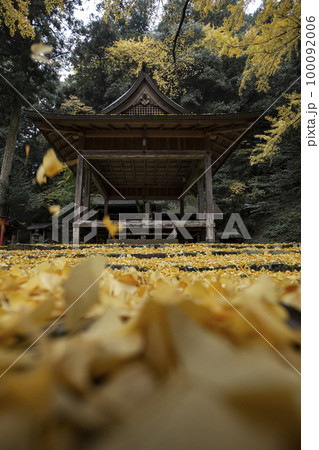 岩戸落葉神社の黄葉 岩戸落葉神社の黄葉 100092006