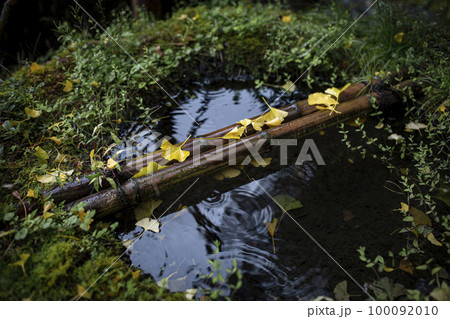 岩戸落葉神社の黄葉 100092010
