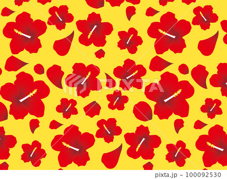 ハイビスカスB1-4 100092530