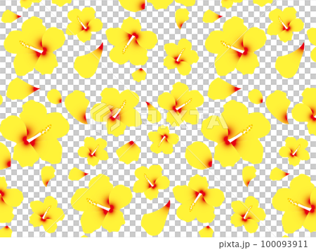 木槿B1-9 100093911