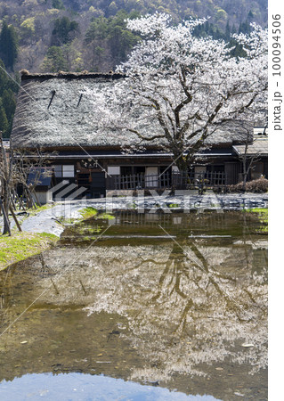 白川郷の春 桜 白川郷の春 桜 100094506