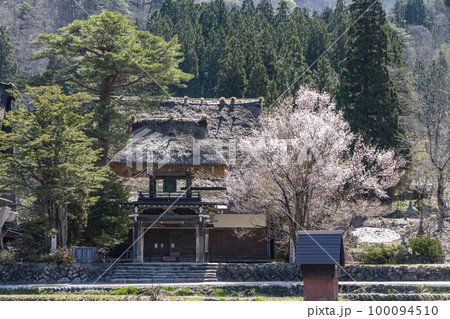 白川郷の春　桜 100094510
