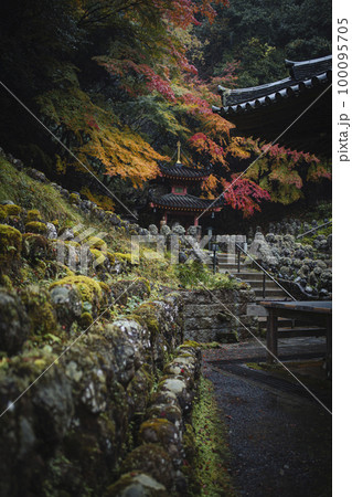愛宕念仏寺の紅葉 100095705