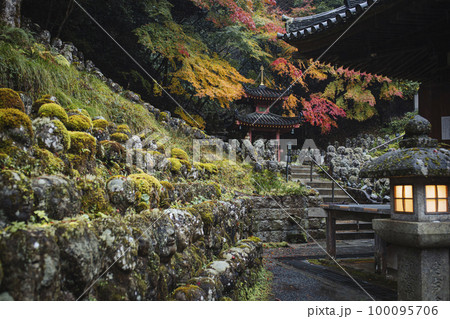 愛宕念仏寺の紅葉 100095706