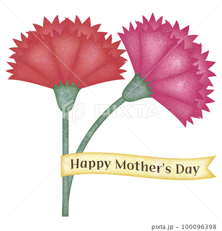 母の日のカーネション　リボン付き 100096398