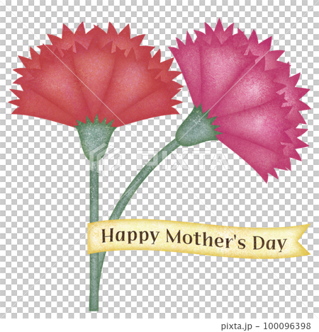 母の日のカーネション　リボン付き 100096398