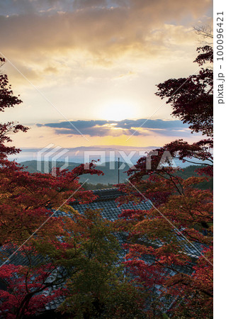 善峯寺の紅葉 100096421