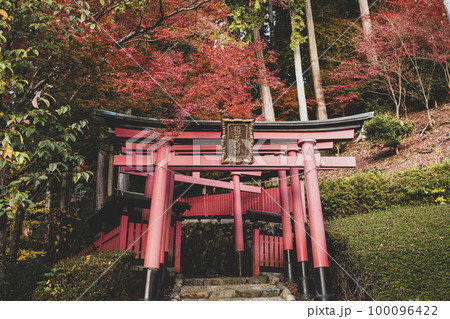 善峯寺の紅葉 100096422