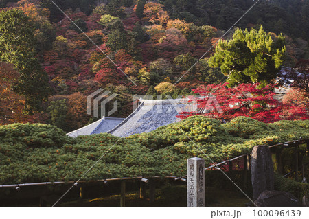 善峯寺の紅葉 100096439