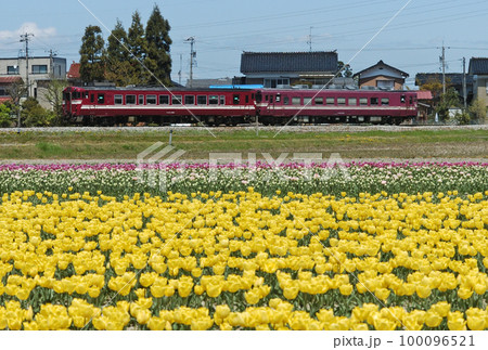城端線 戸出ー油田 JR西日本 キハ40-2083+キハ53-1003(富山) 城端線 戸出ー油田 JR西日本 キハ40-2083+キハ53-1003(富山) 100096521