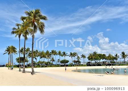 ハワイの休日 ハワイの休日 100096913