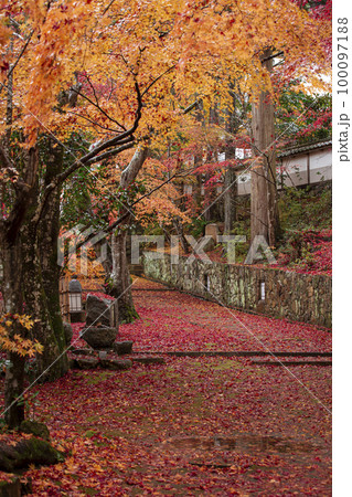 苗秀寺の紅葉 100097188