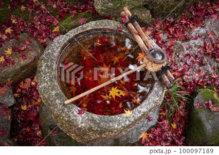 苗秀寺の紅葉 100097189