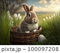 A nice little rabbit sits in a basket in a green meadow 100097208