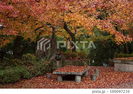 苗秀寺の紅葉 100097210