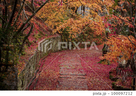 苗秀寺の紅葉 100097212